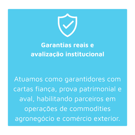 Strategic Holdings  (1261 x 484 px) (18).png