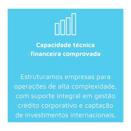Capacidade técnica (2).png